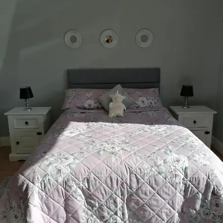 2 Bed Flat - Sleeps 4 - Garden - Parking - Wifi Semesterbostad Cill Airne