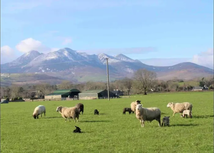 2 Bed Flat - Sleeps 4 - Garden - Parking - Wifi Semesterbostad