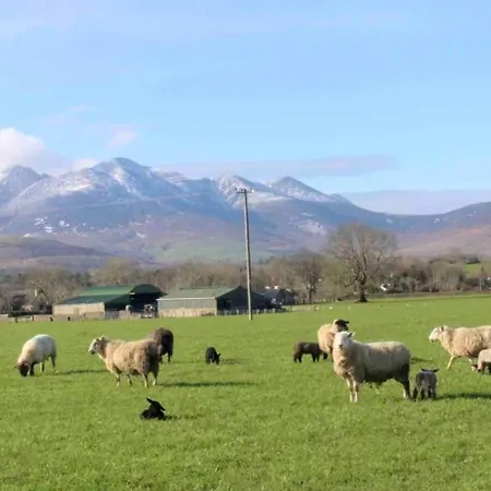 2 Bed Flat - Sleeps 4 - Garden - Parking - Wifi בית נופש